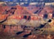 Nature Photo Gallery