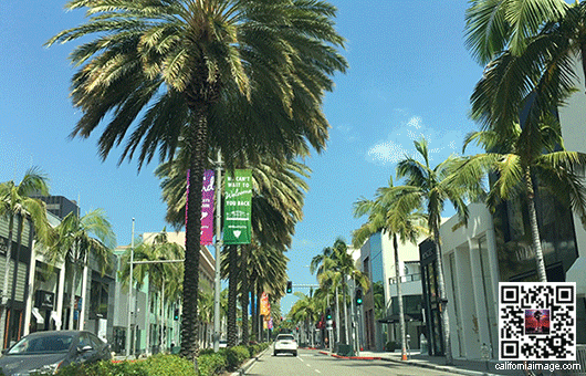 Beverly Hills Rodeo Drive